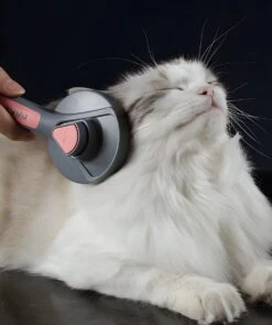 Pakeway T9 - Kattenborstel - Zelfreinigende Kattenkam - Groen - Massageborstel - 19,3 Cm -Huisdier Benodigdheden 1005x1200 1