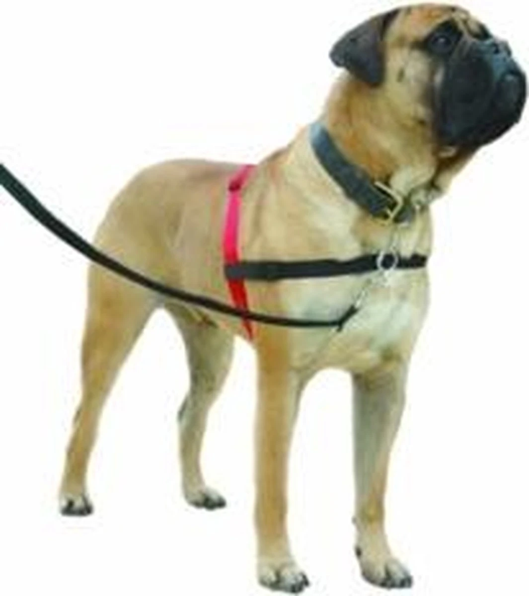 Company Of Animals Halti Harnass - Anti Trektuigje - Hond - Large - Borstomvang Boven De 80 Cm – Zwart 11 Company Of Animals Halti Harnass - Anti Trektuigje - Hond - Large - Borstomvang Boven De 80 Cm – Zwart - Afbeelding 9