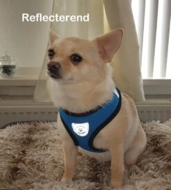 Luxyana® Hondentuigje - S - 28-32cm - Geschikt Voor Kleine Honden En Als Kattenharnas - Easy Step-in Hondentuigje Voor De Kleine Hond Of Kat - Inclusief Bijpassend Riempje - Zwart -Huisdier Benodigdheden 1076x1200 1