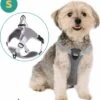 Mmoods Hondentuigje Grijs - Anti-Trek Tuig Voor Puppy's - Hondenharnas Voor Kleine Honden - Reflecterende Halsband Hond - Hondenhalsband Maat S -Huisdier Benodigdheden 1102x1200 1