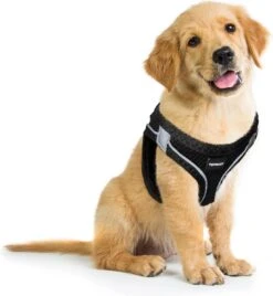 Topmast Airmesh Hondentuig - Click & Go - Petrol - L - Reflecterend - Harnas Hond - Hondentuigje - Hondenharnas - Voor Puppy, Kleine, Medium En Grote Hond -Huisdier Benodigdheden 1104x1200 3