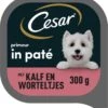Cesar Primeur Paté Honden Natvoer - Kalf & Worteltjes - 10 X 300 Gr 2 Cesar Primeur Paté Honden Natvoer - Kalf & Worteltjes - 10 X 300 Gr -Huisdier Benodigdheden 1107x1200