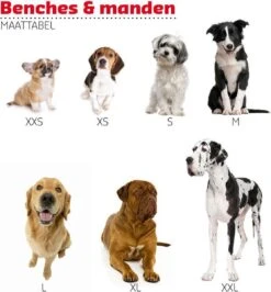 Adori Vetbed Basic - Dierendeken - Grijs - 122 X 75 Cm -Huisdier Benodigdheden 1115x1200 1