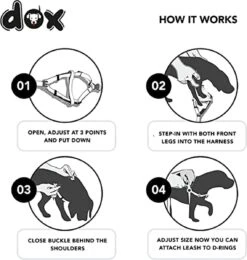 DDOXX Hondenharnas Nylon, Step-In, Verstelbaar, Uitbraakbestendig | Voor Kleine, Middelgrote & Grote Honden | Borstharnas Hond Kat Puppy Auto | Puppy Harnas Kat Harnas | Zwart, S -Huisdier Benodigdheden 1142x1200 1