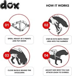 DDOXX Hondenharnas Nylon, Step-In, Verstelbaar, Uitbraakbestendig | Voor Kleine, Middelgrote & Grote Honden | Borstharnas Hond Kat Puppy Auto | Puppy Harnas Kat Harnas | Rood, S -Huisdier Benodigdheden 1142x1200