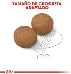 Royal Canin Maxi Adult 15 KG -Huisdier Benodigdheden 1149x1200 6