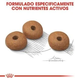 Royal Canin Mini Light 8 KG 26 Royal Canin Mini Light 8 KG -Huisdier Benodigdheden 1158x1200 4