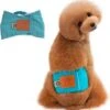 Merkloos Hondenluier Voor Kleine Hond - Luier Voor Reu - Buikband Maat S 27 Cm X 25 Cm -Huisdier Benodigdheden 1164x1200