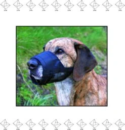 Merkloos EPIN | Muilkorf | Muilband | Goed Ventilerend Gaas | In 3 Maten | S | 12cm - 15cm -Huisdier Benodigdheden 1164x1200 3