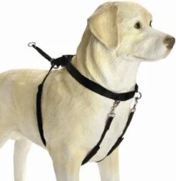 Beeztees Gentle Walker - Hondentuig - Zwart - M -Huisdier Benodigdheden 1166x1200 2