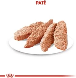 Royal Canin Ccn Sterilised Wet - Hondenvoer - 12x85 G -Huisdier Benodigdheden 1166x1200 3