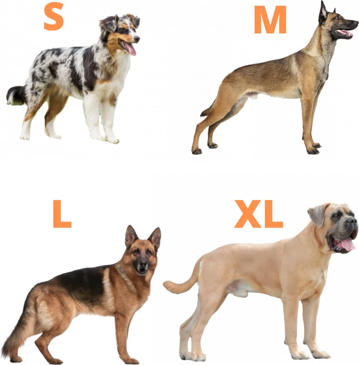 Always Prepared © Pro K9 Hondentuig - Anti Trek - Y Tuig - Middel En Grote Hond - Veiligheidstuig 11 Always Prepared © Pro K9 Hondentuig - Anti Trek - Y Tuig - Middel En Grote Hond - Veiligheidstuig - Afbeelding 9