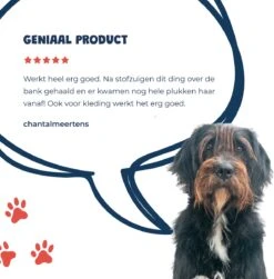 JC Pets Premium Pluizenborstel - Huisdierhaar Verwijderaar – Pluizenverwijderaar – Honden En Kattenhaar Verwijderaar - Ontpluizer - Pluizenroller -Huisdier Benodigdheden 1183x1200 1