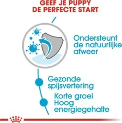 Royal Canin Shn Medium Puppy Pouch - Hondenvoer - 10 X 140 G -Huisdier Benodigdheden 1184x1200 7