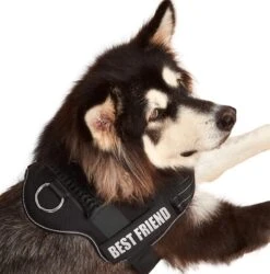 Woofy Hondentuig - Anti Trek - Hondenharnas - Reflecterend - Verstelbaar -Huisdier Benodigdheden 1186x1200 3