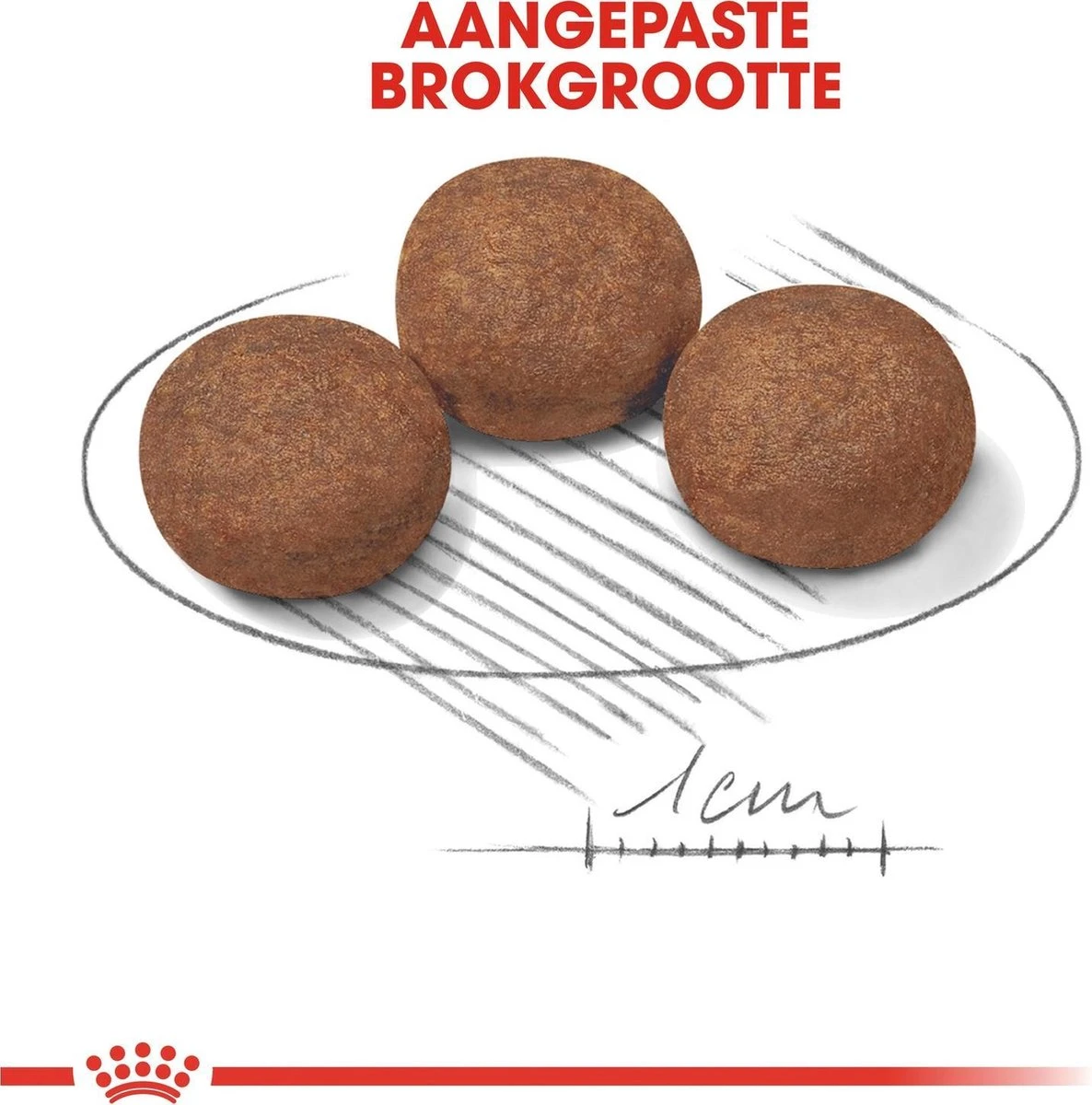 Royal Canin Medium Junior 15 KG 5 Royal Canin Medium Junior 15 KG - Afbeelding 3