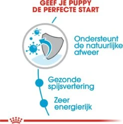 Royal Canin Shn Mini Puppy Pouch - Hondennatvoer - 12 X 85 G -Huisdier Benodigdheden 1188x1200 3