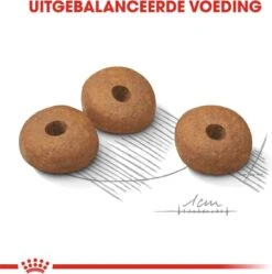 Royal Canin Mini Light 8 KG 27 Royal Canin Mini Light 8 KG -Huisdier Benodigdheden 1190x1200 8