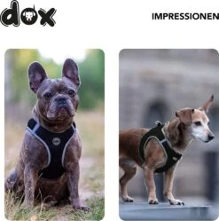 DDOXX Borstharnas Air Mesh, Step-In, Reflecterend | Vele Kleuren | Voor Kleine, Middelgrote En Middelgrote Honden | Hondenharnas Hond Kat Puppy | Kattenharnas Puppy Harnas | Zwart, M -Huisdier Benodigdheden 1191x1200 4
