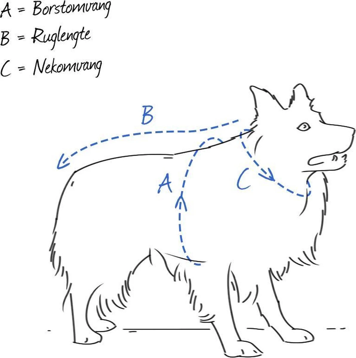 Hunter Harnas Norweger Racing - Hondentuig - Bruin/Cognac - M - 52-62 X 2.5 Cm 4 Hunter Harnas Norweger Racing - Hondentuig - Bruin/Cognac - M - 52-62 X 2.5 Cm - Afbeelding 2
