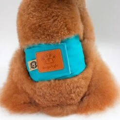 Merkloos Hondenluier Voor Kleine Hond - Luier Voor Reu - Buikband Maat S 27 Cm X 25 Cm -Huisdier Benodigdheden 1194x1200 3