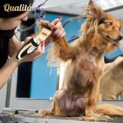 Merkloos Professionele Honden Tondeuse Set - Tondeuse Voor Huisdier Honden En Katten - Hondentrimmer - Hondentondeuse -Huisdier Benodigdheden 1198x1200 1