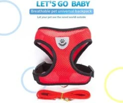 Hondentuig- Hondentuigjes Kleine Hond-hondentuigjes Puppy-Kattenspeeltjes-kat-dog-Kattenharnas-kattentuigje -kattentuigje Met Looplijn-maat M-Rood -Huisdier Benodigdheden 1200x1007 1