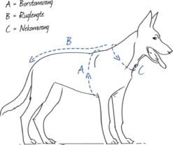 Hunter Harnas Norweger Racing Nylon - Hondentuigje - Bruin/Cognac- L - 62-75 X 2,5 X 2,5 Cm 9 Hunter Harnas Norweger Racing Nylon - Hondentuigje - Bruin/Cognac- L - 62-75 X 2,5 X 2,5 Cm -Huisdier Benodigdheden 1200x1010 2