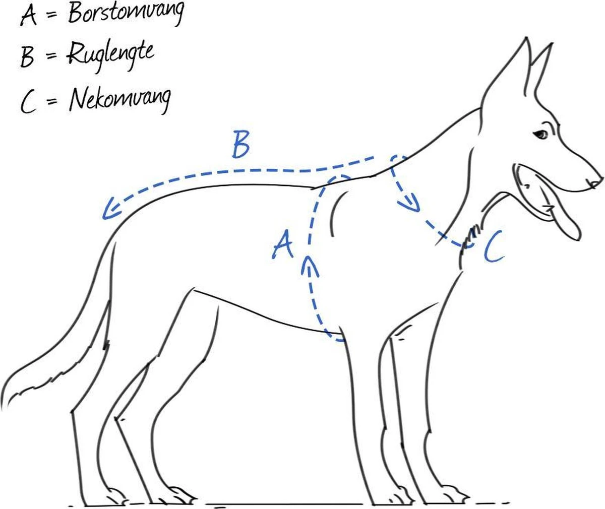 Hunter Harnas Norweger Racing Nylon - Hondentuigje - Bruin/Cognac- L - 62-75 X 2,5 X 2,5 Cm 4 Hunter Harnas Norweger Racing Nylon - Hondentuigje - Bruin/Cognac- L - 62-75 X 2,5 X 2,5 Cm - Afbeelding 2