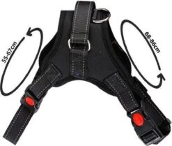 PetsPro Hondentuigje - Maat L - Anti Trek Honden Harnas - Honden Tuig - Tot 40 Kg - Nek Omvang: 55-67 Cm Borst Omvang: 68-86 Cm 11 PetsPro Hondentuigje - Maat L - Anti Trek Honden Harnas - Honden Tuig - Tot 40 Kg - Nek Omvang: 55-67 Cm Borst Omvang: 68-86 Cm -Huisdier Benodigdheden 1200x1016 2