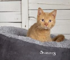 Scruffs Cosy Kattenmand - Comfortabel En Voordelig Met Zachte Binnenvoering En Imitatie Suède Buitenvoering - 3 Kleuren - Ø 45 Cm - Karamel -Huisdier Benodigdheden 1200x1024 1