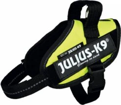 Julius K9 Julius-K9 IDC®Powertuig, S - Mini, Neon -Huisdier Benodigdheden 1200x1041 2