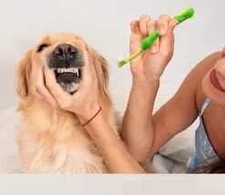 Merkloos Tandenborstel - Voor Huisdieren - Honden - 3 Zijdig - Multi-Hoek - Schoonmaken - Tanden - Slechte Adem - Tandsteen - Tandenborstel - Gezondheid - Blauw -Huisdier Benodigdheden 1200x1042 1