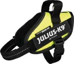 Julius K9 Julius-K9 IDC®Powertuig, XS - Mini-Mini, Neon -Huisdier Benodigdheden 1200x1043 3