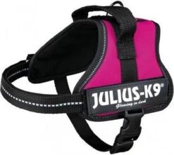 Julius K9 Original Powertuig/Harnas - Fuchsia - S - Mini/49-67cm -Huisdier Benodigdheden 1200x1076 1
