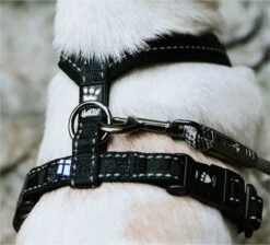 Hurtta Padded Tuig Y-Model Zwart - Hondenharnas - 55 Cm -Huisdier Benodigdheden 1200x1086