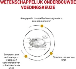 Royal Canin Urinary S/O Small Dog - Hondenvoer - 4 Kg -Huisdier Benodigdheden 1200x1090 2