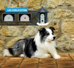 Vulpes Pets® Anti Blaf Apparaat Pro - Anti Blafband Voor Alle Honden - Luxe Hondentrainer - Diervriendelijk & Zonder Schok - Inclusief 9V Batterij - Waterbestendig - Ophangbaar - Instelbare Ultrasone Niveauregeling - 4 Standen 16 Vulpes Pets® Anti Blaf Apparaat Pro - Anti Blafband Voor Alle Honden - Luxe Hondentrainer - Diervriendelijk & Zonder Schok - Inclusief 9V Batterij - Waterbestendig - Ophangbaar - Instelbare Ultrasone Niveauregeling - 4 Standen -Huisdier Benodigdheden 1200x1102