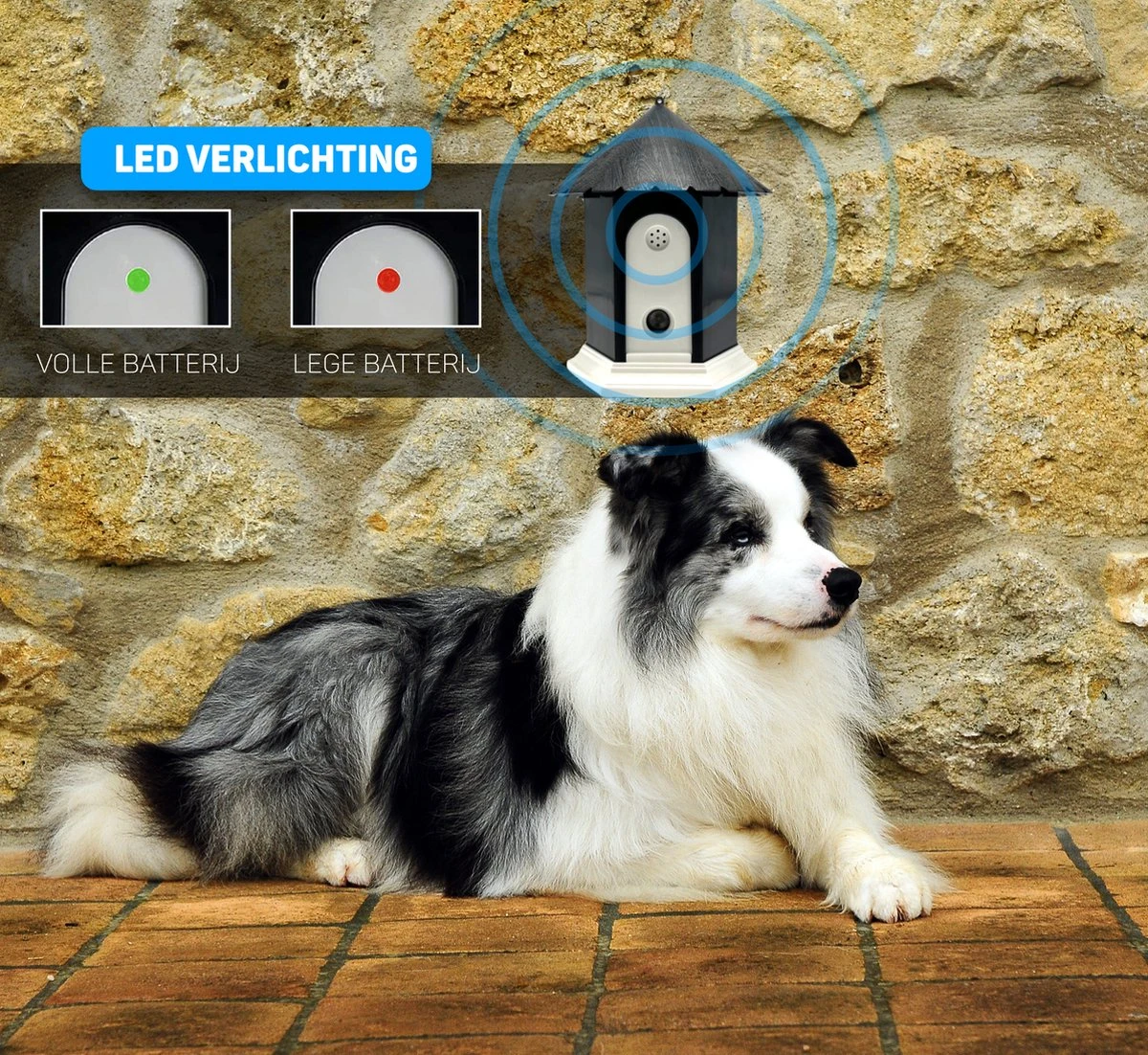 Vulpes Pets® Anti Blaf Apparaat Pro - Anti Blafband Voor Alle Honden - Luxe Hondentrainer - Diervriendelijk & Zonder Schok - Inclusief 9V Batterij - Waterbestendig - Ophangbaar - Instelbare Ultrasone Niveauregeling - 4 Standen 5 Vulpes Pets® Anti Blaf Apparaat Pro - Anti Blafband Voor Alle Honden - Luxe Hondentrainer - Diervriendelijk & Zonder Schok - Inclusief 9V Batterij - Waterbestendig - Ophangbaar - Instelbare Ultrasone Niveauregeling - 4 Standen - Afbeelding 3