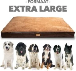 PrimePlus Hondenkussen XL Antraciet - 120x80x10 CM - Zacht En Luxe Hondenmand - Hondenbed - Hondenmat - Orthopedisch Hondenkussens -Huisdier Benodigdheden 1200x1112 3