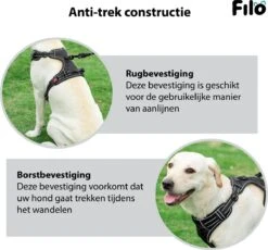 Filo Anti Trek Hondentuig L Met Hondenriem - Y Tuig Hond - Easy Walk Hondenharnas Large + Hondenlijn - Hondentuigje Verstelbaar - Leiband - Honden Tuigje - Riem -Huisdier Benodigdheden 1200x1117 3