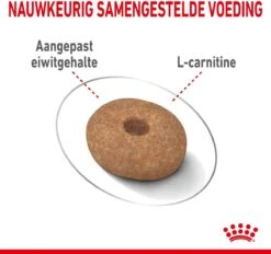 Royal Canin Mini Light 8 KG 31 Royal Canin Mini Light 8 KG -Huisdier Benodigdheden 1200x1128 5