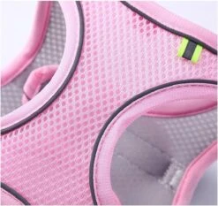 Hondentuigje Voor Kleine Puppy's & Kleine Honden - Blauw - Maat M 13 Hondentuigje Voor Kleine Puppy's & Kleine Honden - Blauw - Maat M -Huisdier Benodigdheden 1200x1130 2