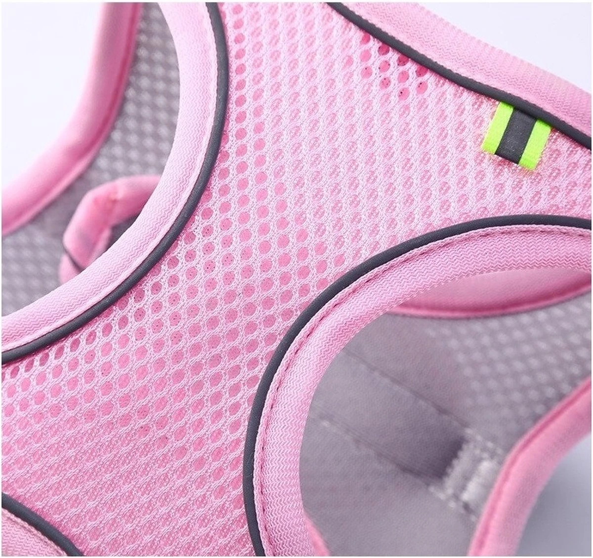 Hondentuigje Voor Kleine Puppy's & Kleine Honden - Blauw - Maat M 6 Hondentuigje Voor Kleine Puppy's & Kleine Honden - Blauw - Maat M - Afbeelding 4