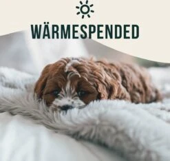 Happilax Fluffy Hondendeken Voor Auto & Bank, Wasbare Hondenmat Voor Op Reis, Grijs, L -Huisdier Benodigdheden 1200x1139 3