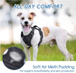 Nobleza 42ZHY - Hondenharnas - Hondentuigje - Anti Trek - L - Zwart 12 Nobleza 42ZHY - Hondenharnas - Hondentuigje - Anti Trek - L - Zwart -Huisdier Benodigdheden 1200x1141 1