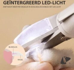 Professionele Oplaadbare LED Licht Nagelknipper, Hond, Kat, Knaagdier, Huisdieren | Dog, Cat, Nail Clipper LED Light, Rechargeable, USB Kabel | Nagelvijl - Nagelschaar Met Vijl, Opvang Van Nagels | Vergrootglas 5x | Extreem Veilig & 100% Effectief -Huisdier Benodigdheden 1200x1143