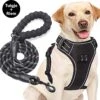 Filo Anti Trek Hondentuig L Met Hondenriem - Y Tuig Hond - Easy Walk Hondenharnas Large + Hondenlijn - Hondentuigje Verstelbaar - Leiband - Honden Tuigje - Riem -Huisdier Benodigdheden 1200x1152 2