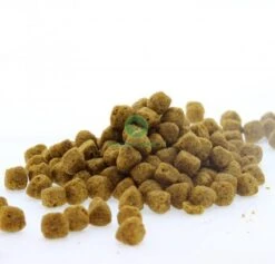 Royal Canin Gastro Intestinal Low Fat - Hondenvoer - 12 Kg -Huisdier Benodigdheden 1200x1152 3