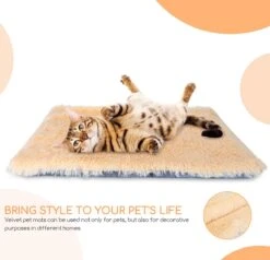 Nobleza Fluffy Benchkussen - Dierenkussen - Hondenkussen - Kattenkussen - Benchmat - Dierenmat - Hondenmat - Kattenmat - Crème - Maat L 18 Nobleza Fluffy Benchkussen - Dierenkussen - Hondenkussen - Kattenkussen - Benchmat - Dierenmat - Hondenmat - Kattenmat - Crème - Maat L -Huisdier Benodigdheden 1200x1156 4